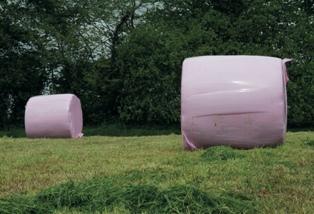Pink wrapped bales listing