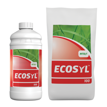 Ecosyl 100 new bottle banner