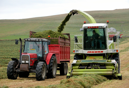 Cutting silage at folsetter 1 listing