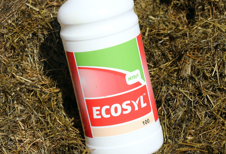 Grass silage ecosyl bottle listing