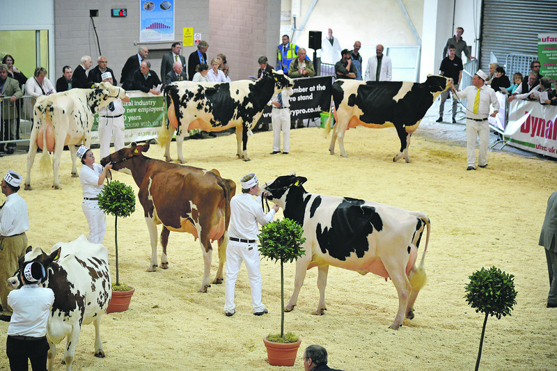 The Dairy Show Events Ecosyl UK