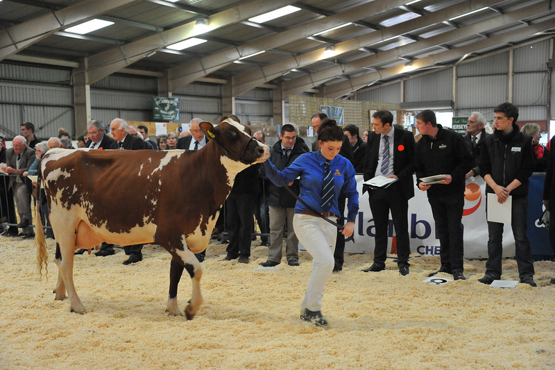 The Welsh Dairy Show