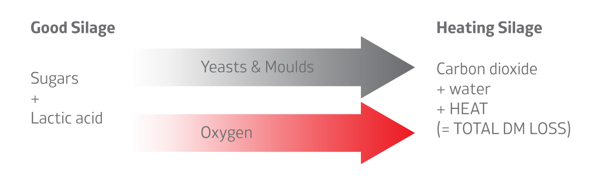 good silage diagram