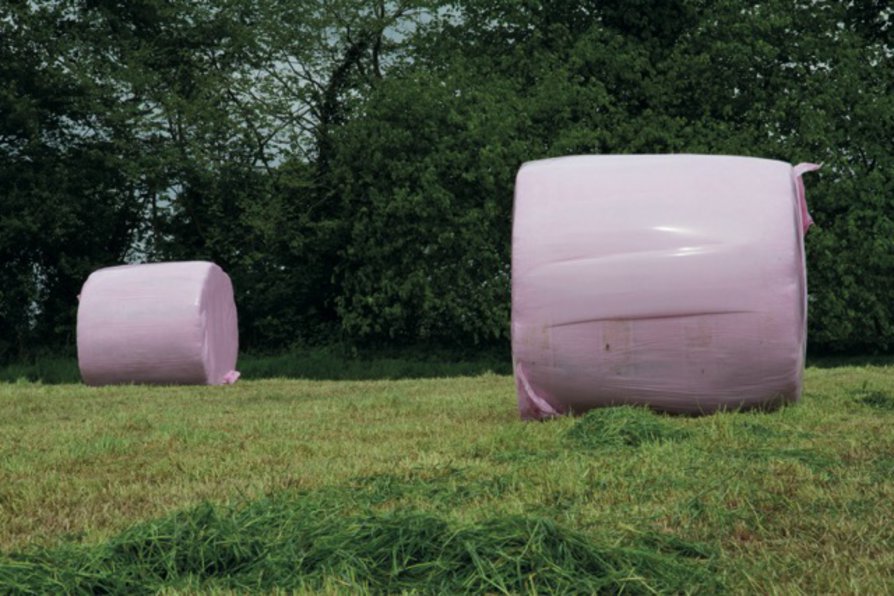 pink bales