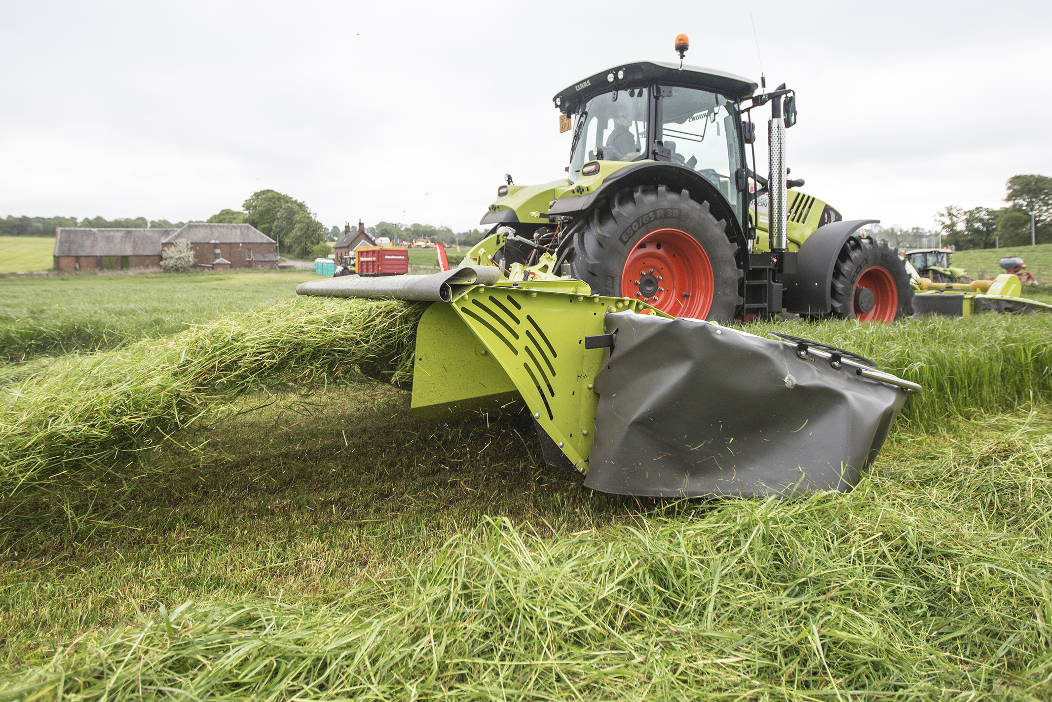 Late cut grass