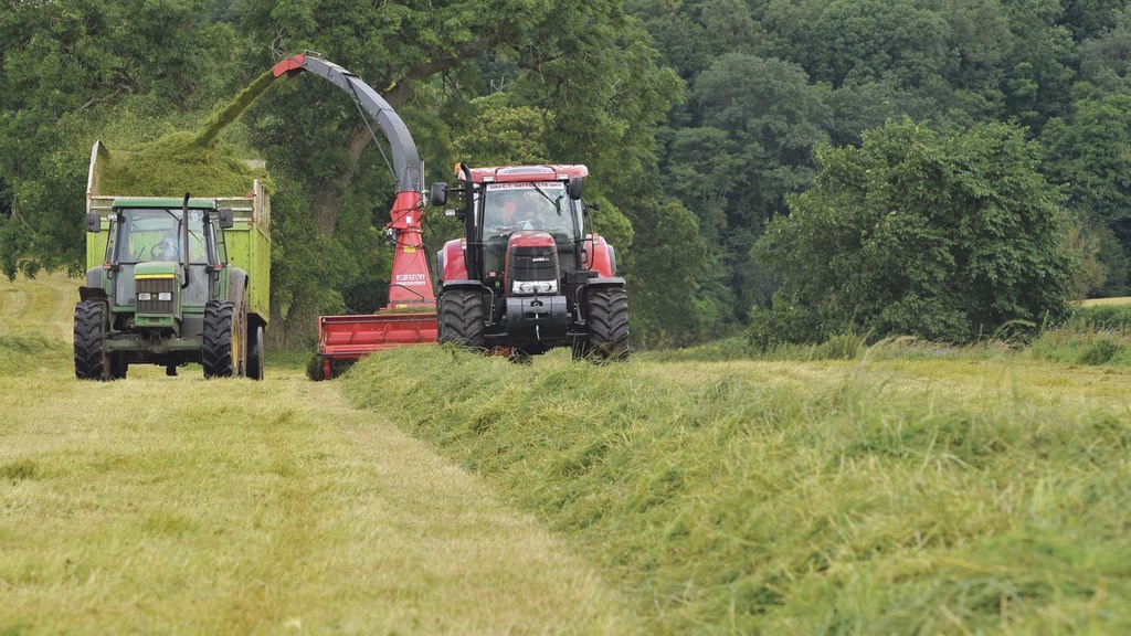 Grass silage 