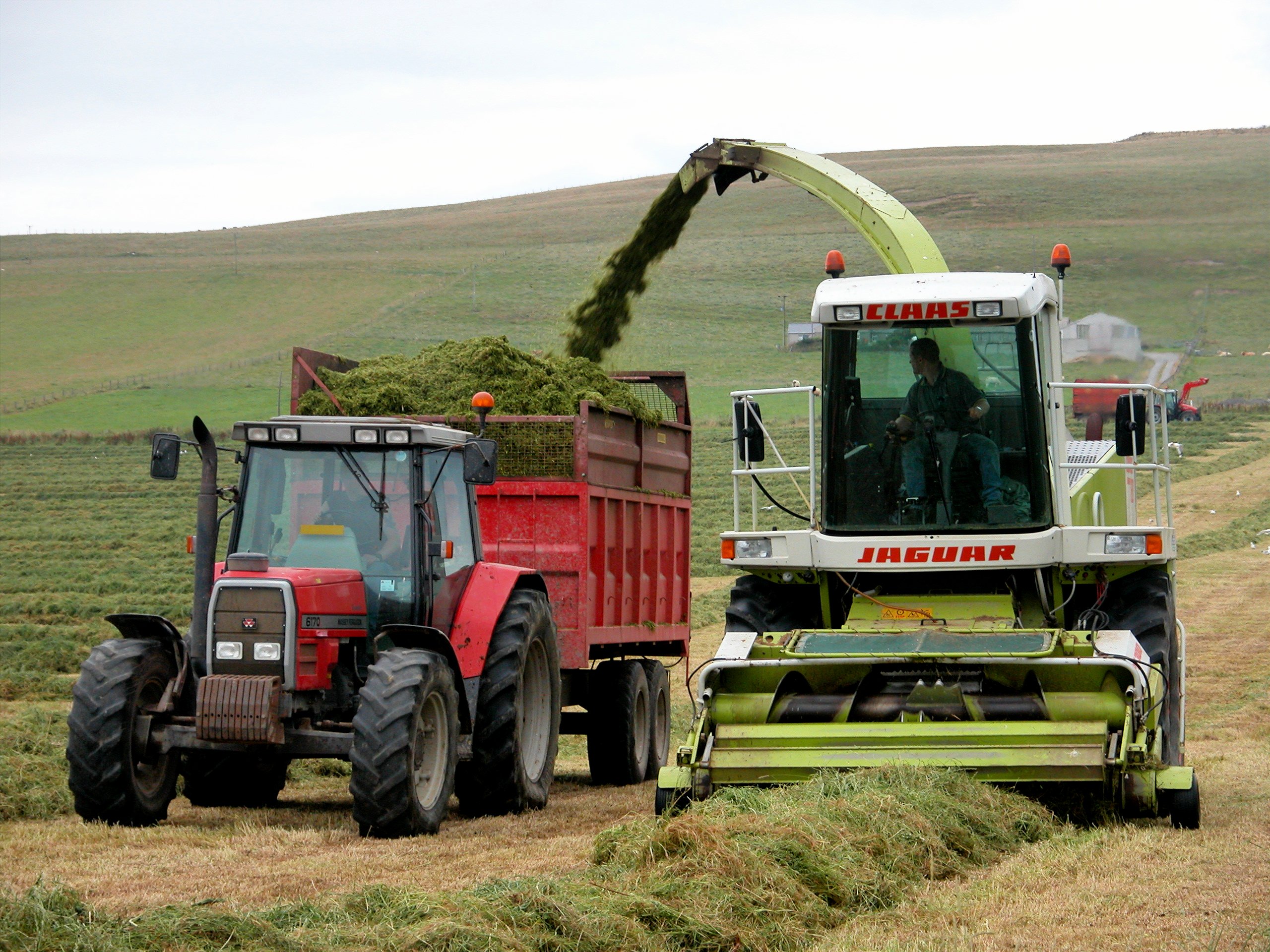 Silage cutting