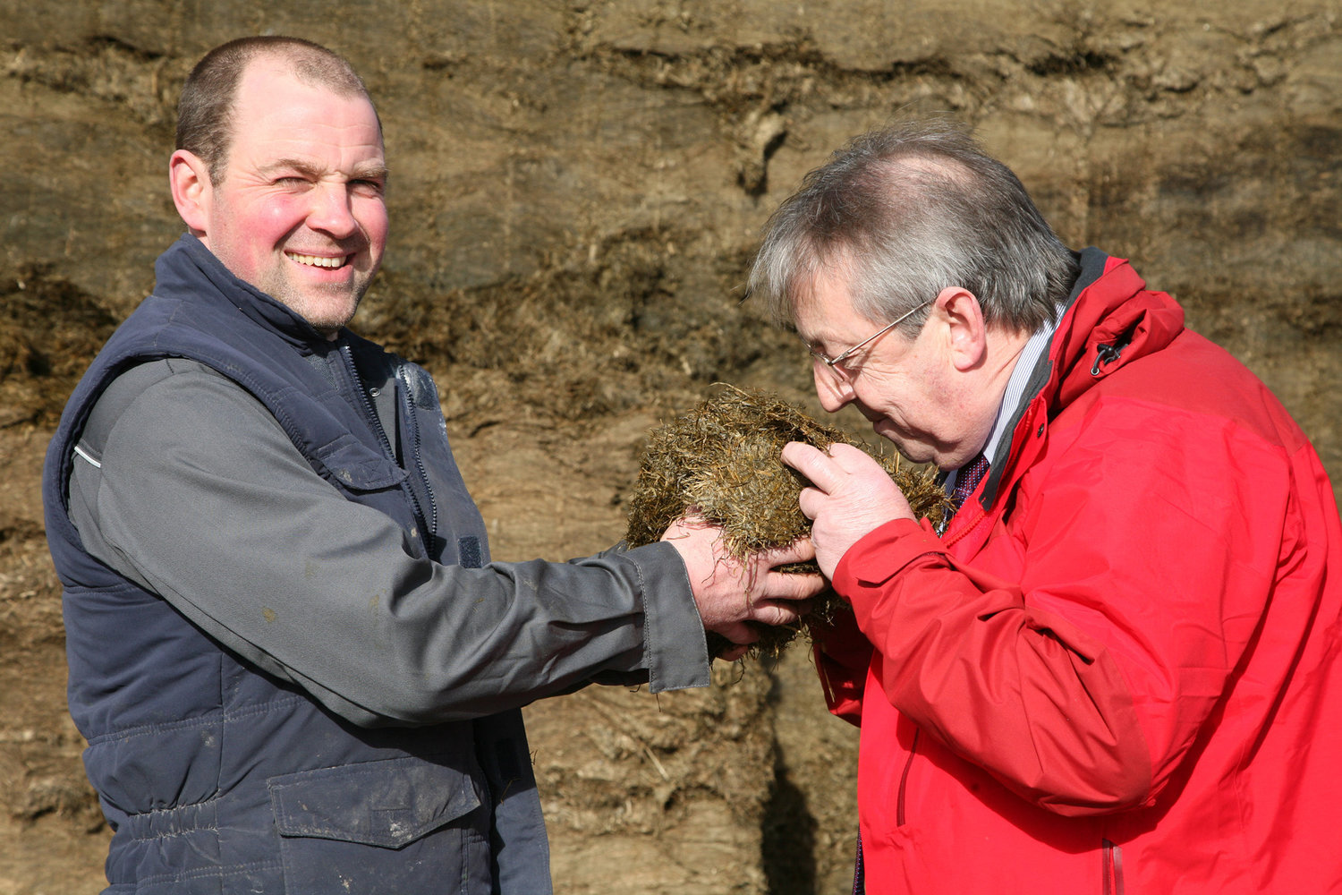 Silage consultation 