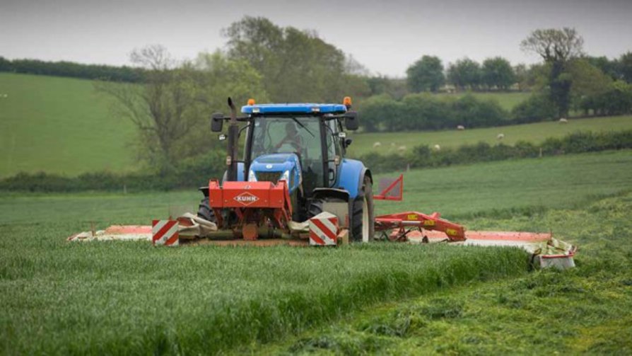 cutting grass