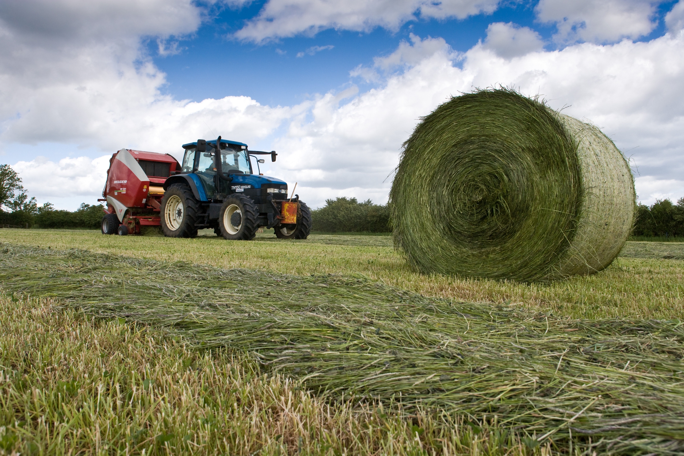 Bales