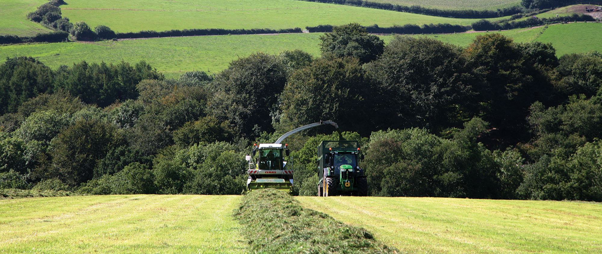 HArvesting banner