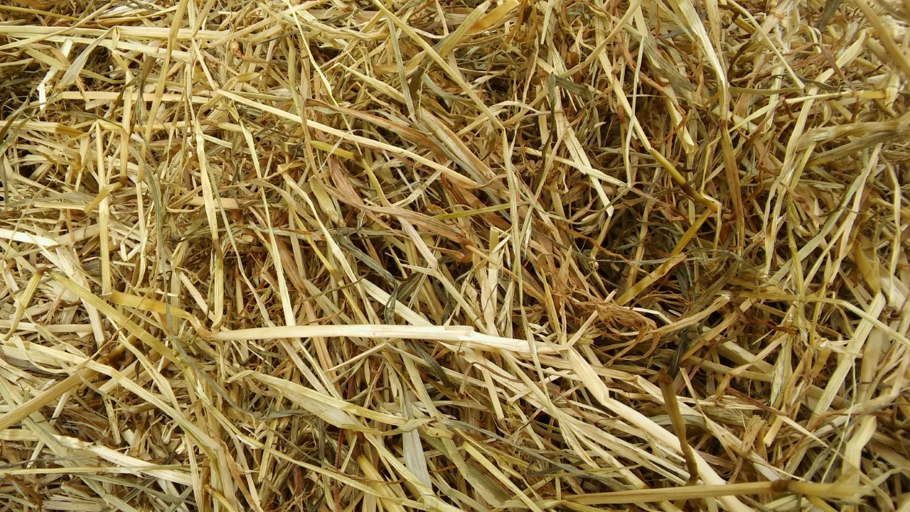 Haylage