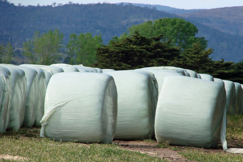 Green bale wrap