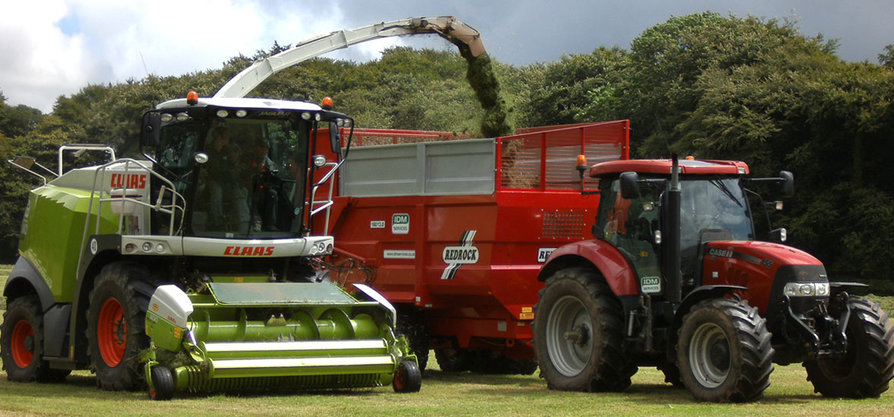 Silage cut