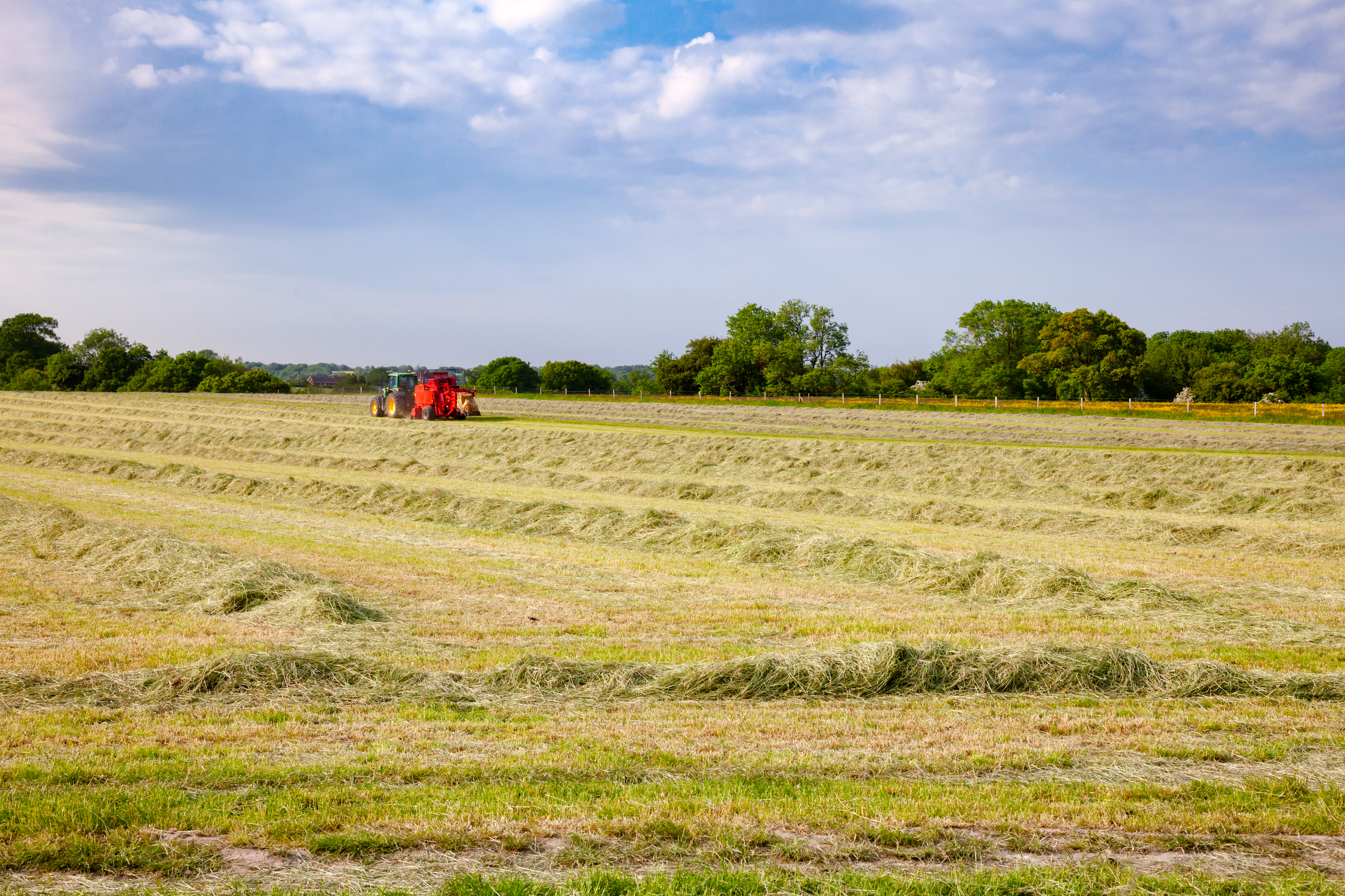 Grass silage in hot weather