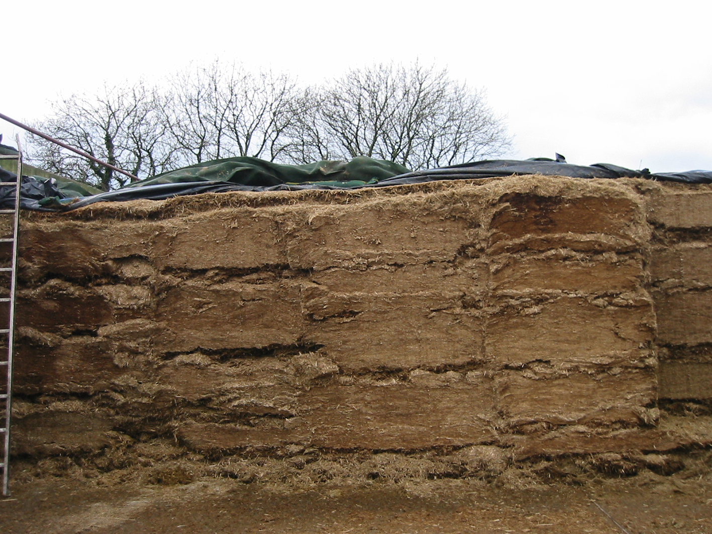 Silage clamp