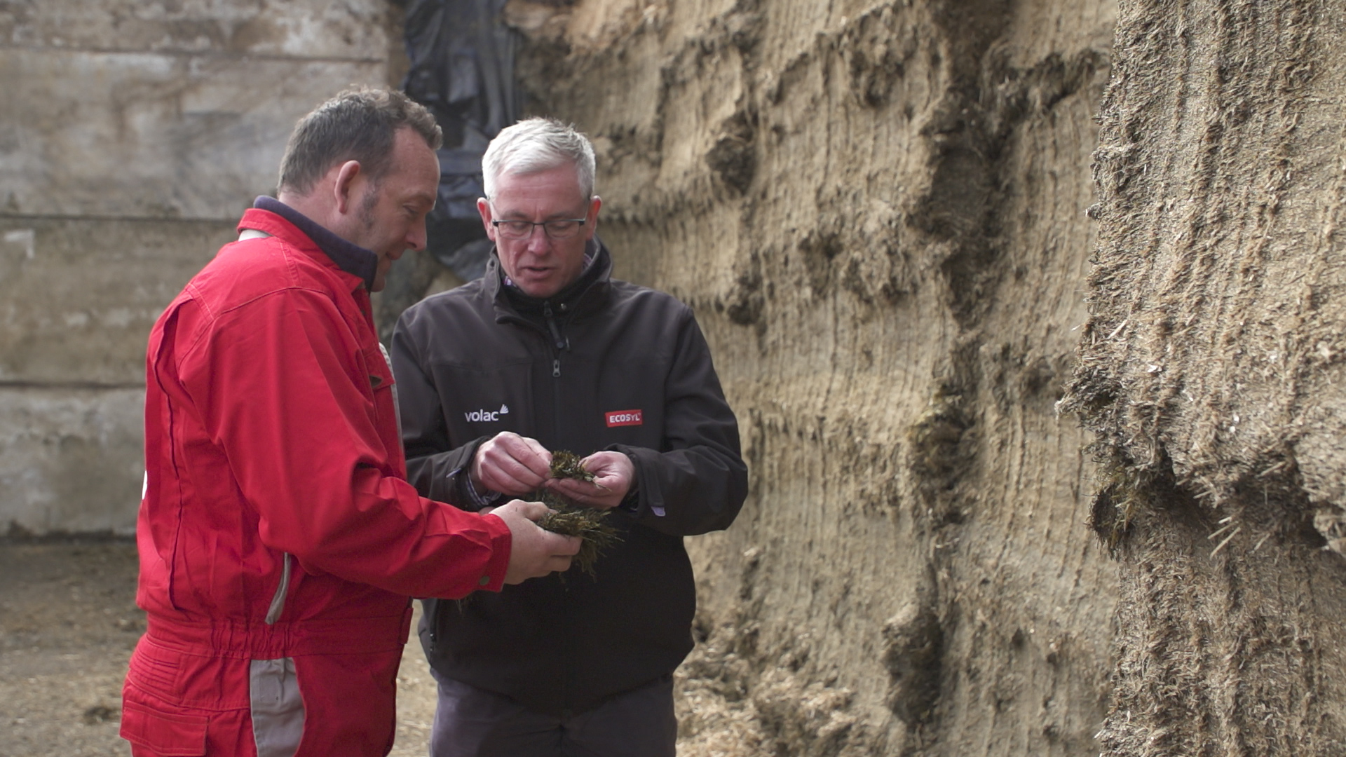 Follow the silage