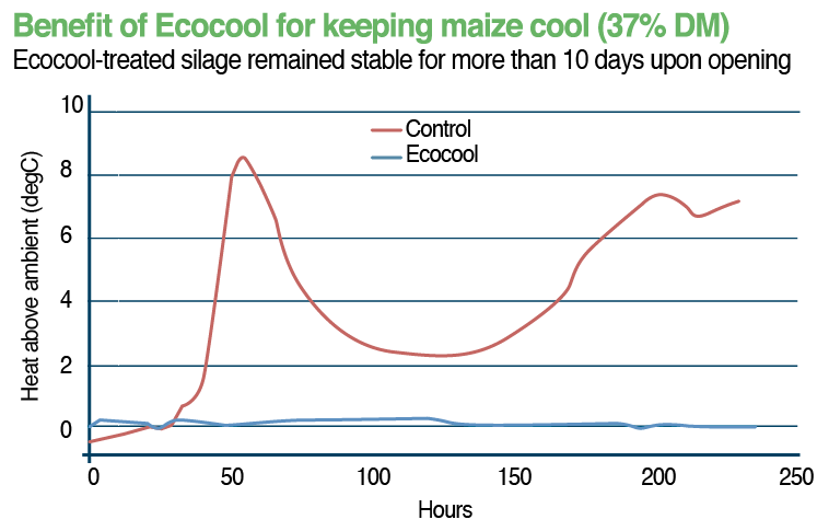 Ecocool