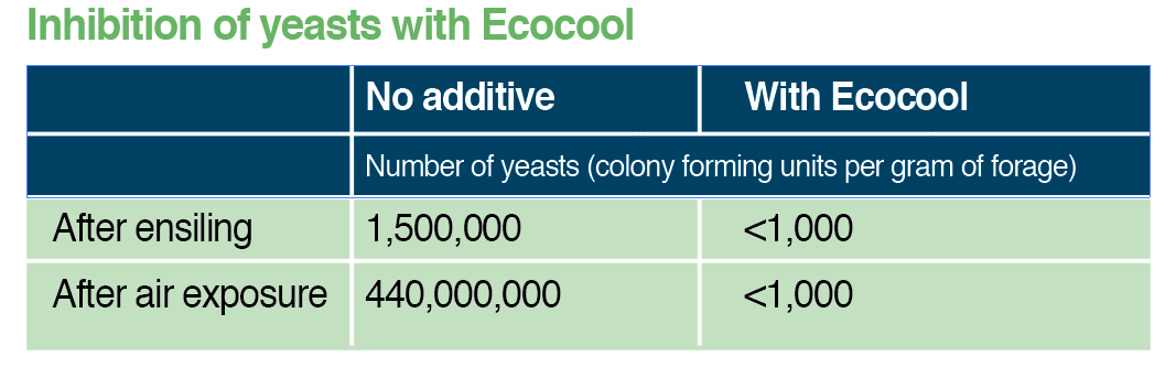 Yeasts