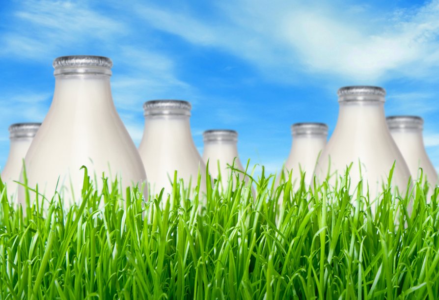 Milk bottles in field