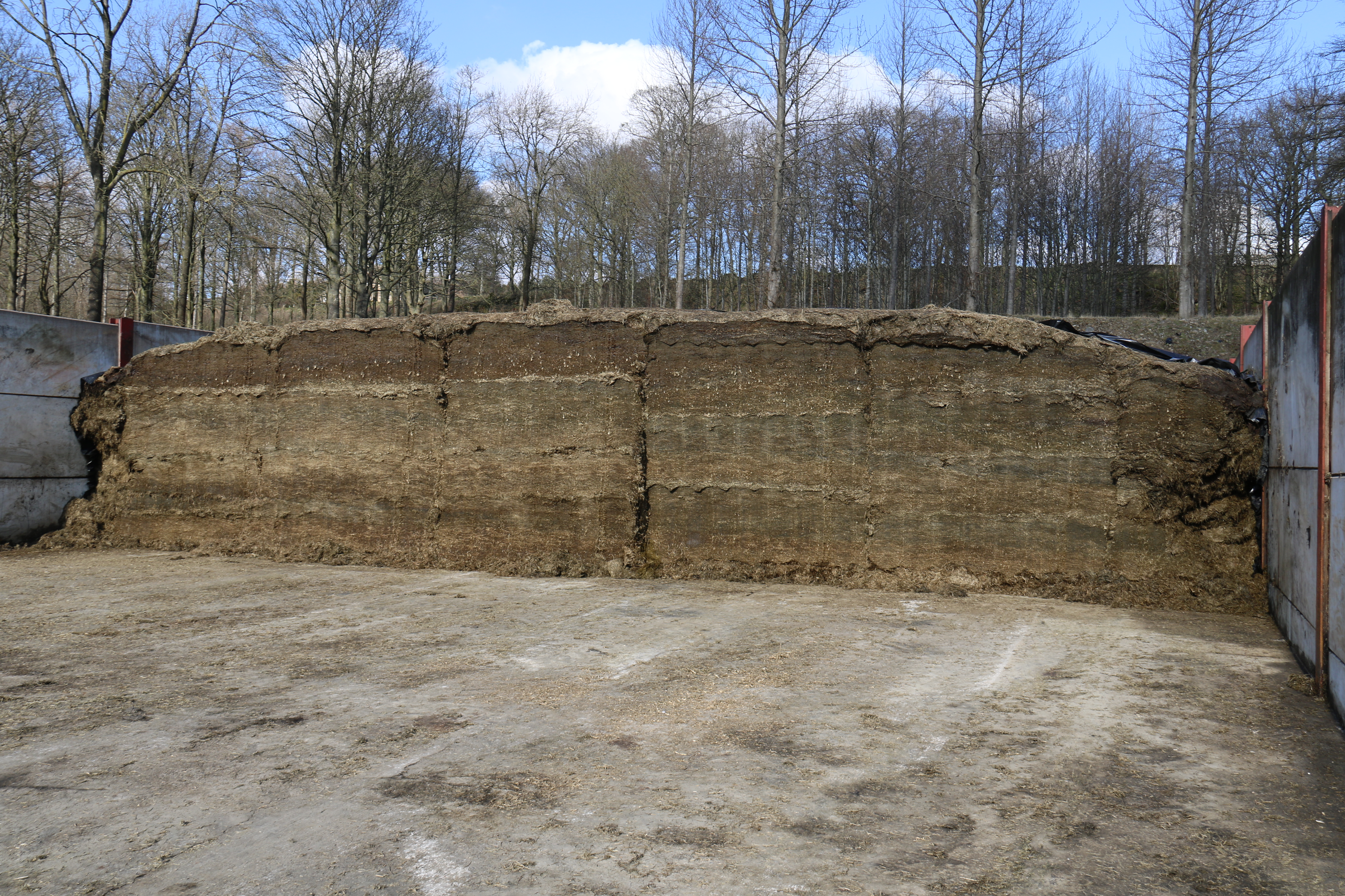 Bolton Hall silage clamp