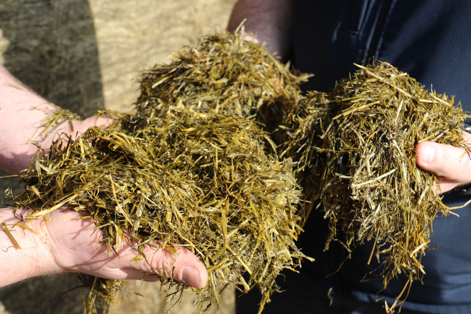 Grass silage Bolton Farm