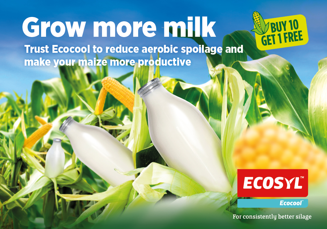 Ecocool ad