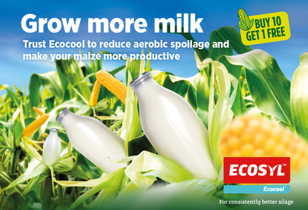 Ecocool corn ad 4 original (2) listing