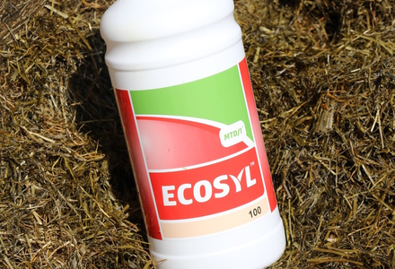 Thumbnail grass silage  ecosyl bottle (1) listing