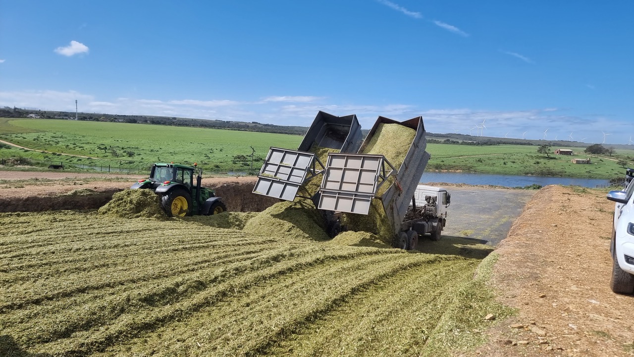 Silaging