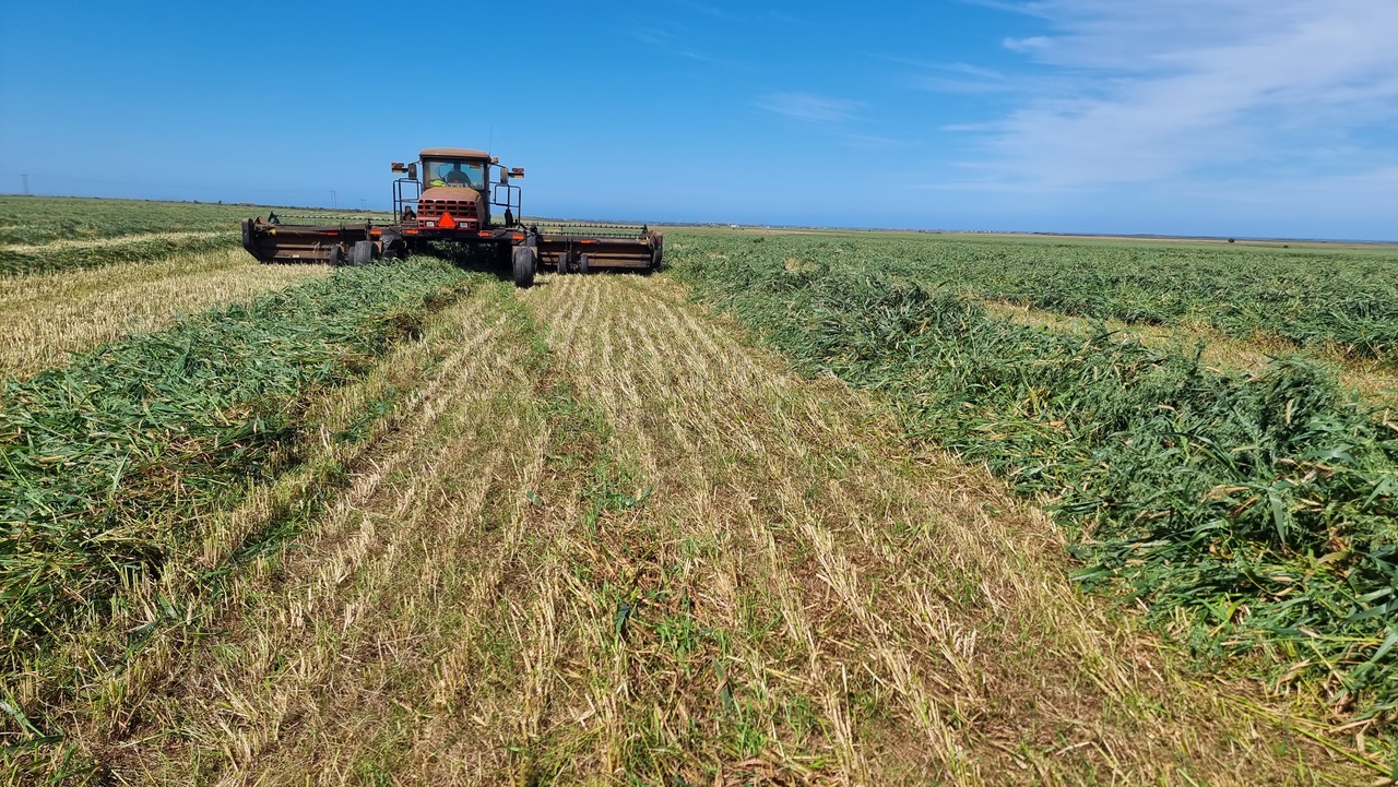 Silaging