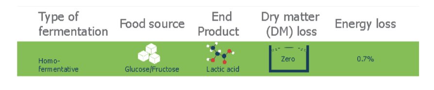 type of fermentation