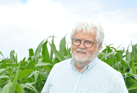 Peter smith in maize crop 96  listing