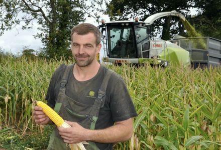 Mark fitton maize harvest listing