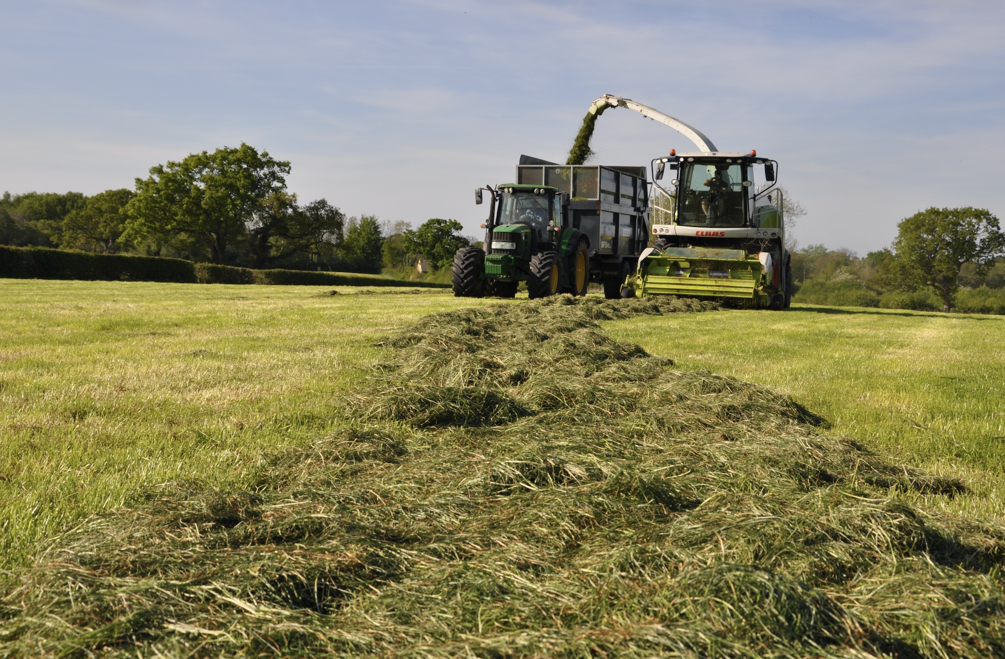 Harvest Mark Fitton 1