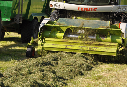 Harvesting 2  300 listing