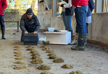 1769708169392 listing