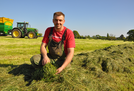 Mark fitton grass harvest listing