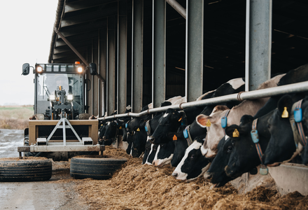 Mountfarm gep 013 listing