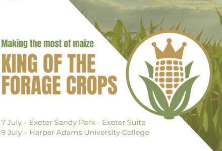 Screenshot 2026 03 27 at 14.55.55 listing