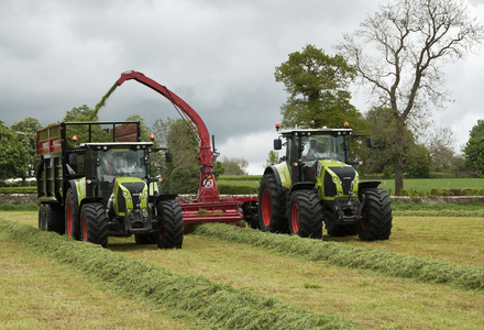 Silage harvest listing