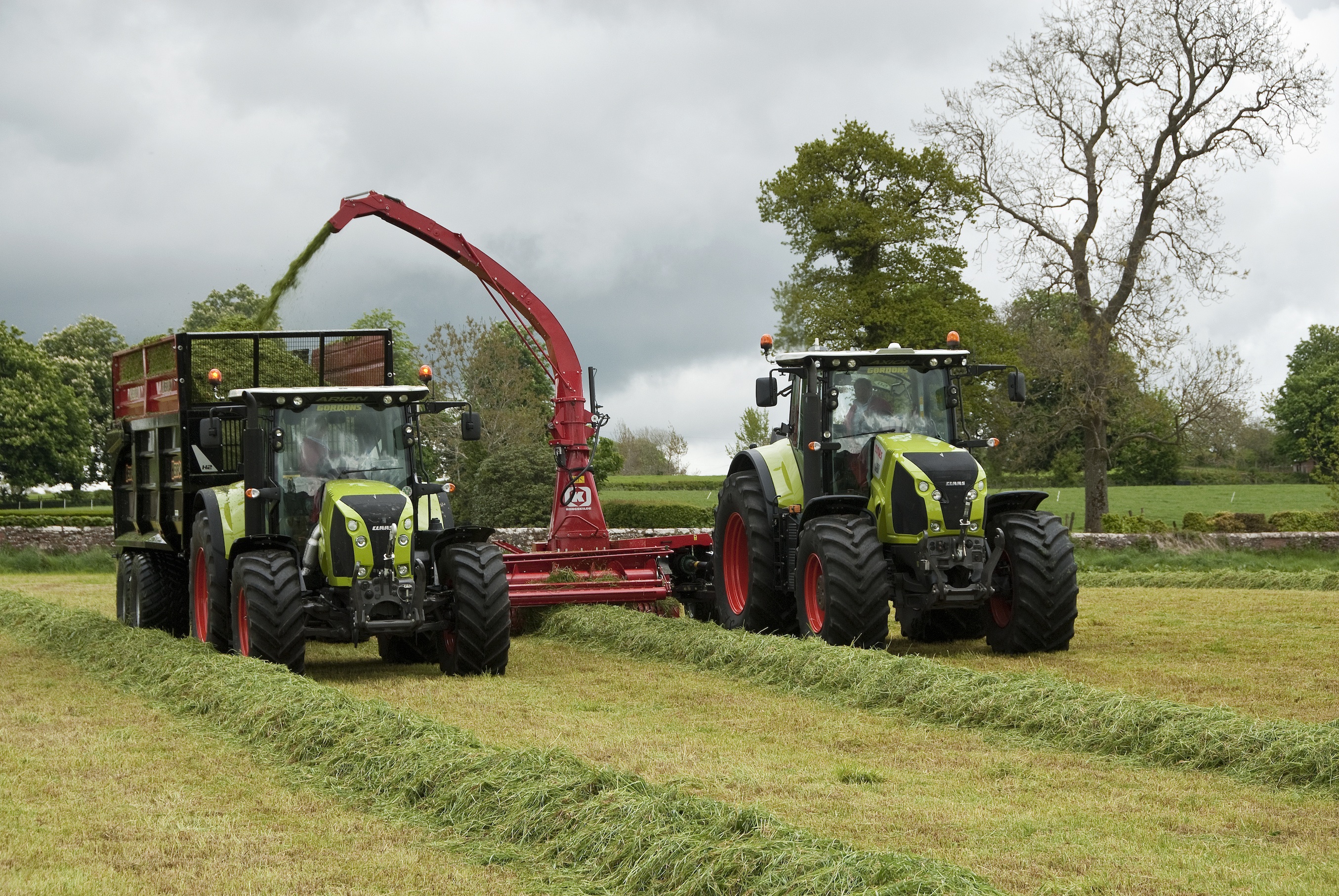 Silage harvest Ken article